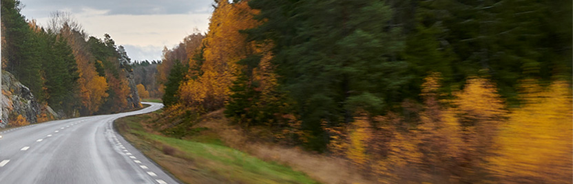 Vibratec SVIB Vibration Day 2024